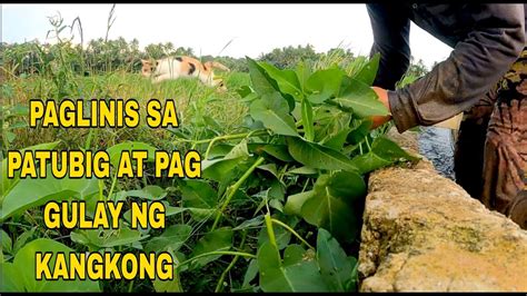 Pinagkukunan ng patubig sa pal in English with examples.